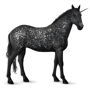 unicorn de călărit knabstrupper black leopard 