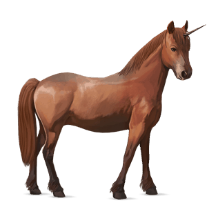 ponei unicorn haflinger pacomira 