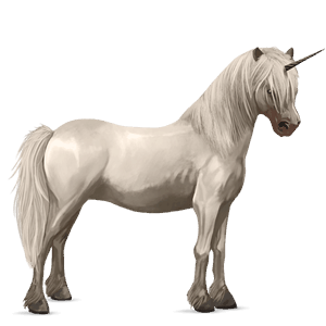 ponei unicorn welsh negru