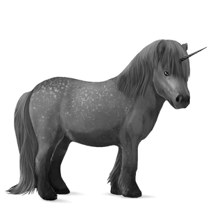 ponei unicorn shetland sur rotat