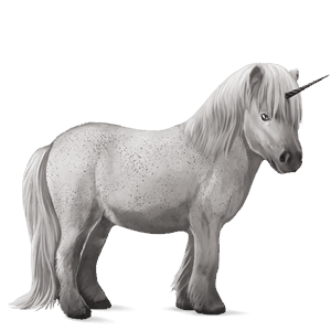 ponei unicorn shetland roib bălţat